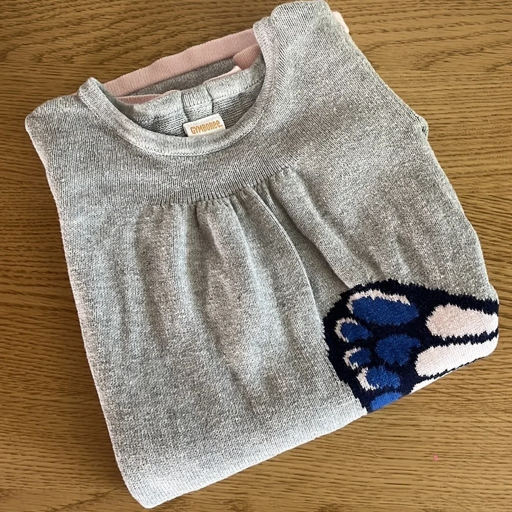 Gymboree Butterfly Sweater Dress